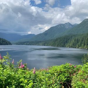 Meet your Posher, Abeer